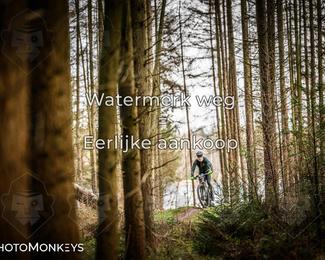 Drenthe 200 Extreme Marathon photo