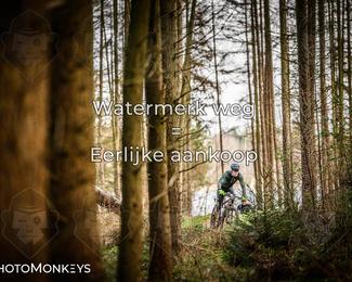 Drenthe 200 Extreme Marathon photo