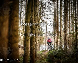 Drenthe 200 Extreme Marathon photo