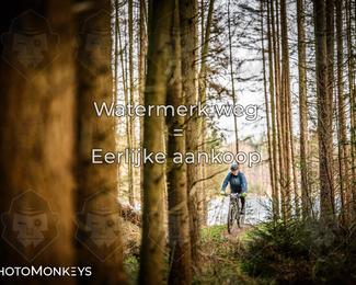 Drenthe 200 Extreme Marathon photo