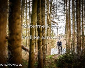 Drenthe 200 Extreme Marathon photo