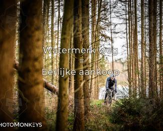 Drenthe 200 Extreme Marathon photo