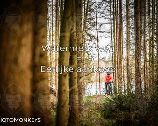 Drenthe 200 Extreme Marathon photo