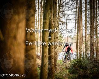 Drenthe 200 Extreme Marathon photo