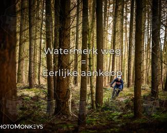 Drenthe 200 Extreme Marathon photo