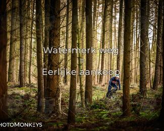 Drenthe 200 Extreme Marathon photo