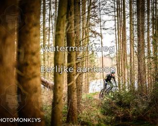 Drenthe 200 Extreme Marathon photo