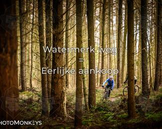 Drenthe 200 Extreme Marathon photo