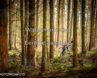 Drenthe 200 Extreme Marathon photo