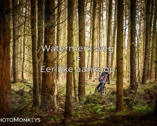 Drenthe 200 Extreme Marathon photo