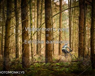 Drenthe 200 Extreme Marathon photo