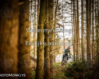 Drenthe 200 Extreme Marathon photo