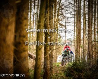 Drenthe 200 Extreme Marathon photo