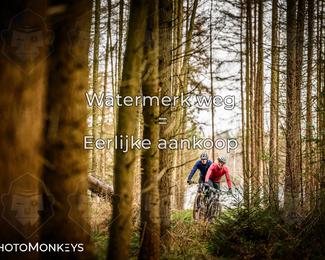 Drenthe 200 Extreme Marathon photo