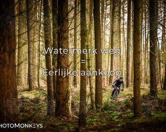 Drenthe 200 Extreme Marathon photo