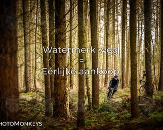 Drenthe 200 Extreme Marathon photo