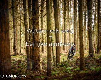 Drenthe 200 Extreme Marathon photo