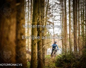 Drenthe 200 Extreme Marathon photo