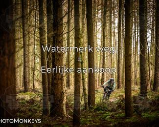 Drenthe 200 Extreme Marathon photo