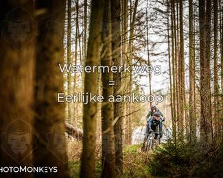 Drenthe 200 Extreme Marathon photo