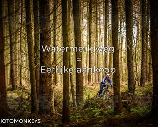 Drenthe 200 Extreme Marathon photo