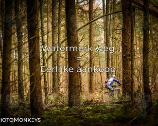 Drenthe 200 Extreme Marathon photo