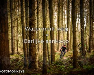 Drenthe 200 Extreme Marathon photo