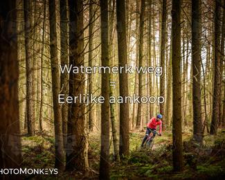 Drenthe 200 Extreme Marathon photo