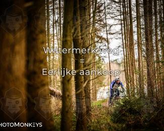 Drenthe 200 Extreme Marathon photo