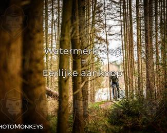 Drenthe 200 Extreme Marathon photo