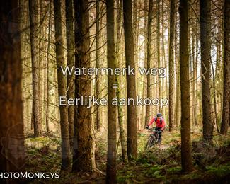 Drenthe 200 Extreme Marathon photo