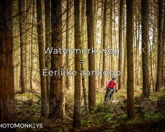 Drenthe 200 Extreme Marathon photo