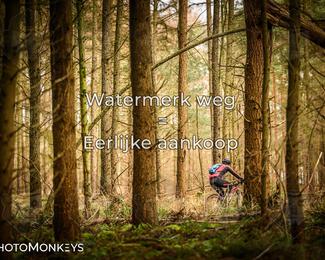 Drenthe 200 Extreme Marathon photo