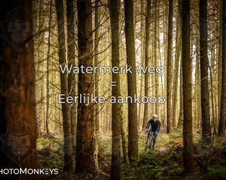 Drenthe 200 Extreme Marathon photo