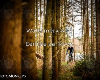 Drenthe 200 Extreme Marathon photo