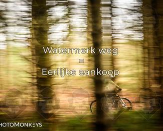 Drenthe 200 Extreme Marathon photo