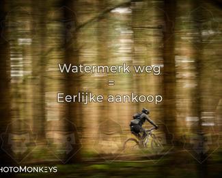 Drenthe 200 Extreme Marathon photo