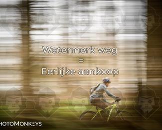 Drenthe 200 Extreme Marathon photo