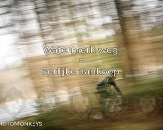 Drenthe 200 Extreme Marathon photo