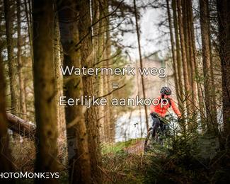 Drenthe 200 Extreme Marathon photo