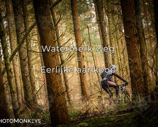 Drenthe 200 Extreme Marathon photo