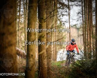 Drenthe 200 Extreme Marathon photo