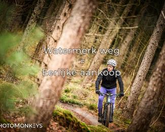 Drenthe 200 Extreme Marathon photo