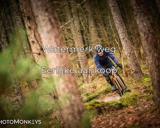 Drenthe 200 Extreme Marathon photo