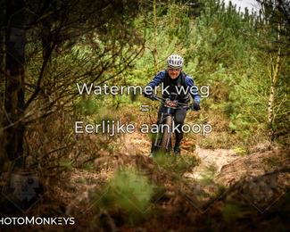 Drenthe 200 Extreme Marathon photo