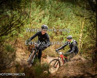 Drenthe 200 Extreme Marathon photo