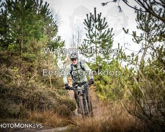 Drenthe 200 Extreme Marathon photo