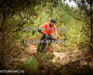 Drenthe 200 Extreme Marathon photo