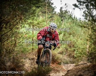 Drenthe 200 Extreme Marathon photo