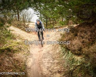 Drenthe 200 Extreme Marathon photo